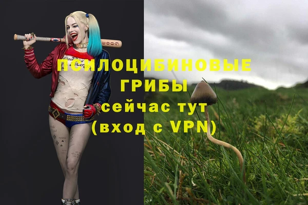 СК Алзамай