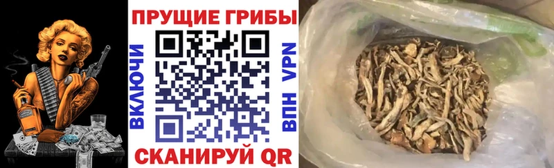 Псилоцибиновые грибы мухоморы  Жирновск 